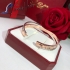 Cartier Bracelet 18kt Gold Plated CTBR18KT246786899